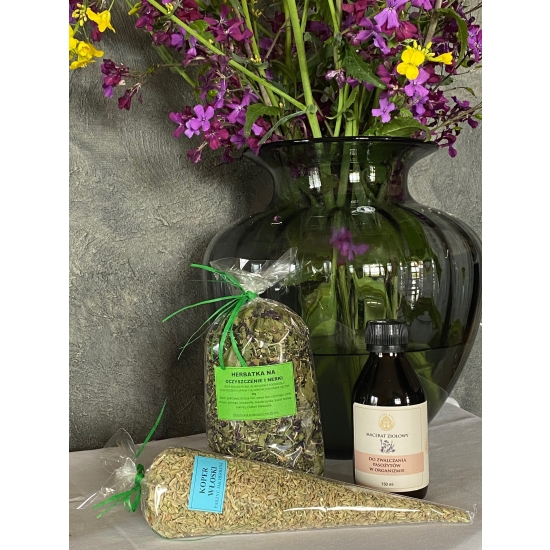 KURACJA NA PASOŻYTY DLA 4 OSÓB